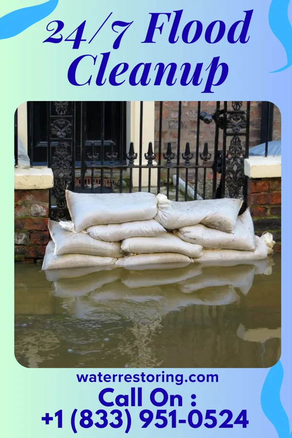 24/7 Flood Cleanup in Mobile City, TX